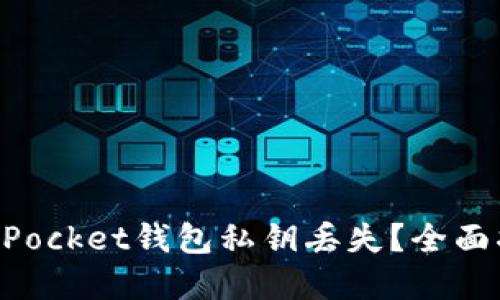 如何应对TokenPocket钱包私钥丢失？全面指南与解决方案