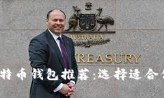 2023年最受欢迎的比特币钱