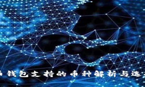 比特币钱包支持的币种解析与选择指南
