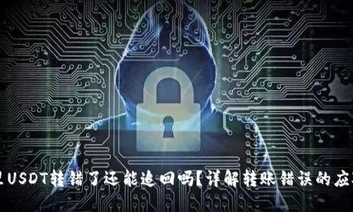 钱包里USDT转错了还能追回吗？详解转账错误的应对方法