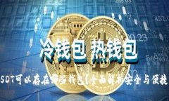 20链USDT可以存在哪些钱包