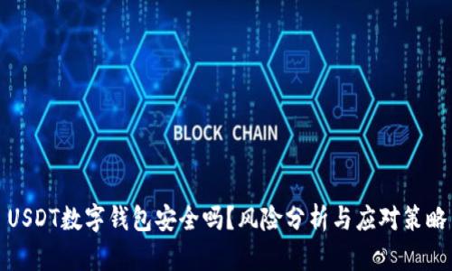 USDT数字钱包安全吗？风险分析与应对策略