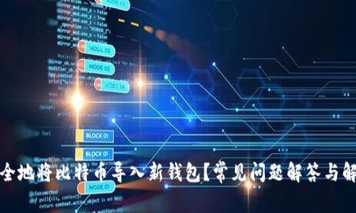 如何安全地将比特币导入新钱包？常见问题解答与解决方案