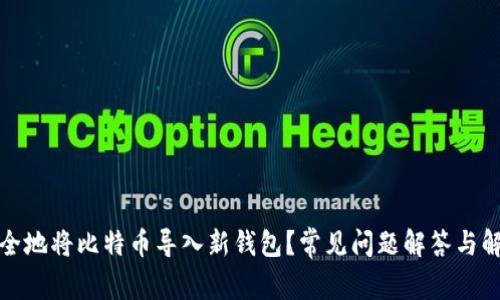 如何安全地将比特币导入新钱包？常见问题解答与解决方案