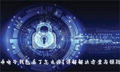 狗狗币电子钱包丢了怎么