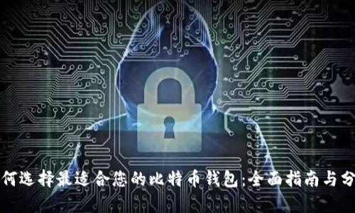 如何选择最适合您的比特币钱包：全面指南与分析