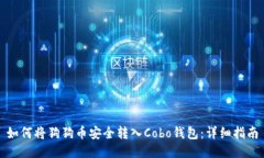 如何将狗狗币安全转入C