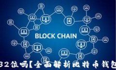 比特币钱包支持32位吗？全
