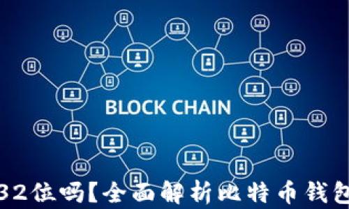 
比特币钱包支持32位吗？全面解析比特币钱包的兼容性与选择