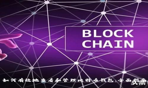 如何有效地查看和管理比特币钱包：全面指南