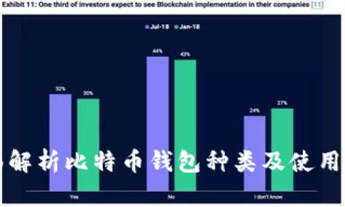 全面解析比特币钱包种类及使用指南