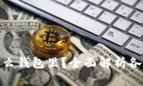 XRP可以放在什么钱包里？全面解析各种XRP钱包选择