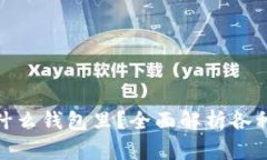 XRP可以放在什么钱包里？