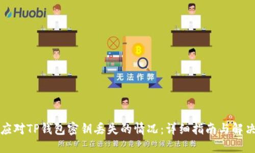 如何应对TP钱包密钥丢失的情况：详细指南与解决方案