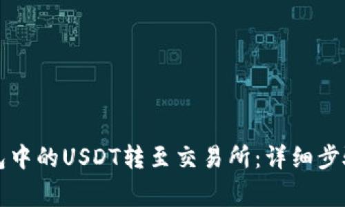 如何将TP钱包中的USDT转至交易所：详细步骤与注意事项
