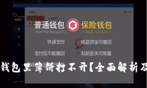 为什么TP钱包里薄饼打不开？全面解析及解决方案