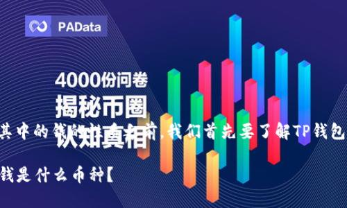 在讨论TP钱包以及其中的钱的性质之前，我们首先要了解TP钱包的基本概念和功能。

### TP钱包里的钱是什么币种？