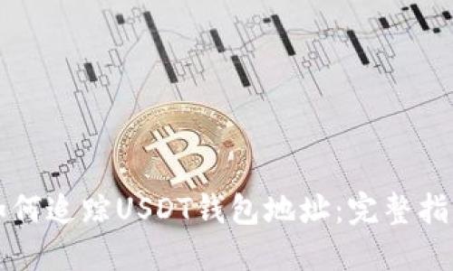 如何追踪USDT钱包地址:完整指南