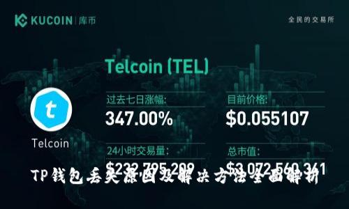 TP钱包丢失原因及解决方法全面解析