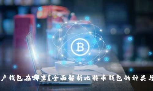 比特币账户钱包在哪里？全面解析比特币钱包的种类与使用方法