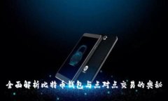 全面解析比特币钱包与点