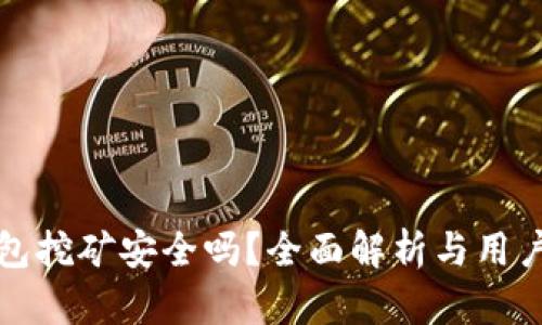 TP钱包挖矿安全吗？全面解析与用户指南