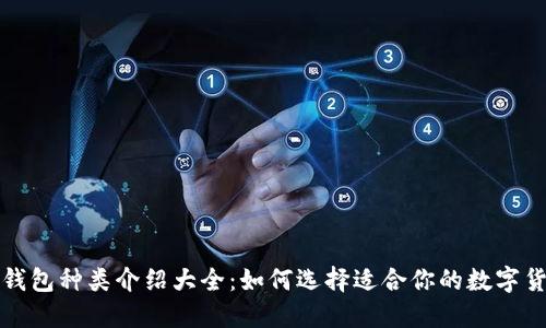比特币钱包种类介绍大全：如何选择适合你的数字货币钱包