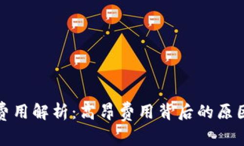 TP钱包授权费用解析：高昂费用背后的原因与应对策略