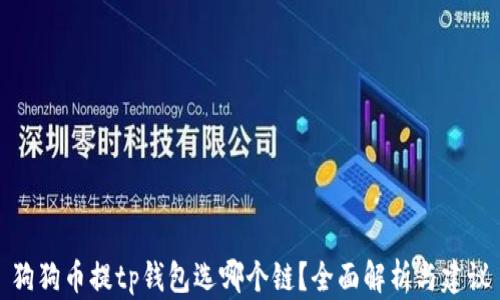 
狗狗币提tp钱包选哪个链？全面解析与建议