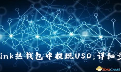 如何在Reva Link热钱包中提现USD：详细步骤与注意事项