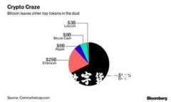 比特币钱包与其他数字货