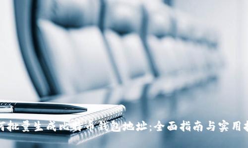 如何批量生成比特币钱包地址：全面指南与实用技巧