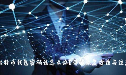 忘记比特币钱包密码该怎么办？详解恢复方法与注意事项