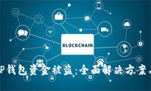 如何应对TP钱包资金被盗：全面解决方案与预防措施