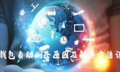 TP钱包自动删除原因及解决