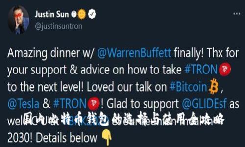 国内比特币钱包的选择与使用全攻略