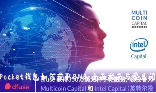 TokenPocket钱包如何获取BNB：全面指南与常见问题解答