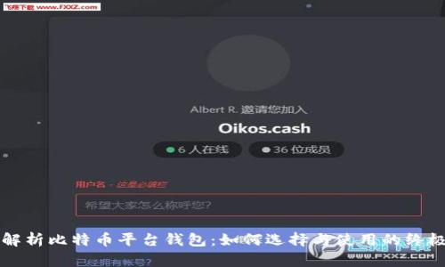 全面解析比特币平台钱包：如何选择与使用的终极指南