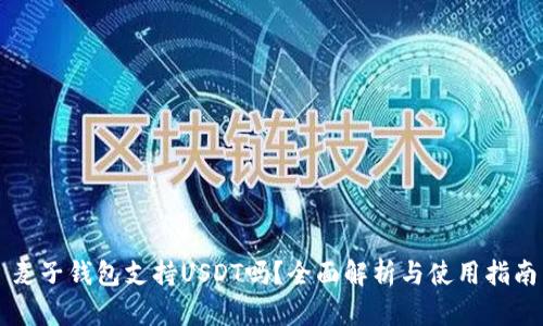 麦子钱包支持USDT吗？全面解析与使用指南