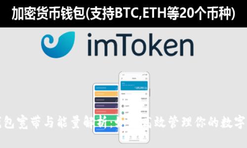 TP钱包宽带与能量解析：如何高效管理你的数字资产