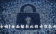 比特币钱包安全吗？全面