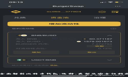 全面解析比特币钱包：选择、类型及安全性指南