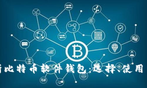 全面解析比特币软件钱包：选择、使用与安全性