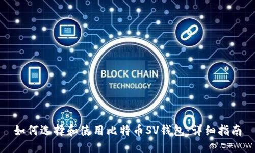 如何选择和使用比特币SV钱包：详细指南