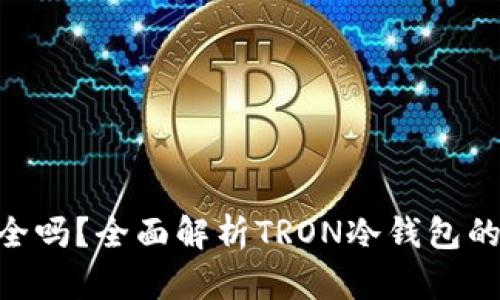 冷钱包TRX安全吗？全面解析TRON冷钱包的安全性与使用