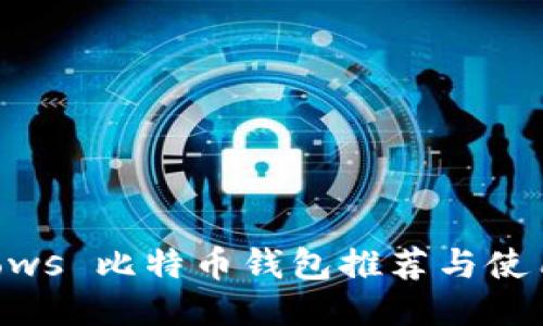 Windows 比特币钱包推荐与使用指南