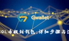 如何将SOL币提到钱包：详