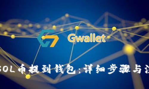 如何将SOL币提到钱包：详细步骤与注意事项