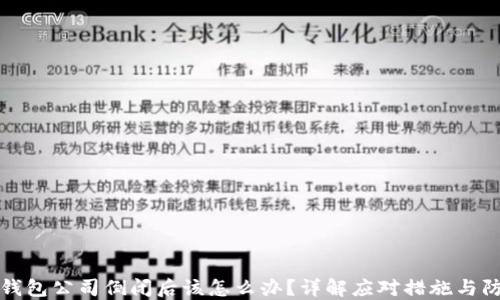 
比特币钱包公司倒闭后该怎么办？详解应对措施与防范策略