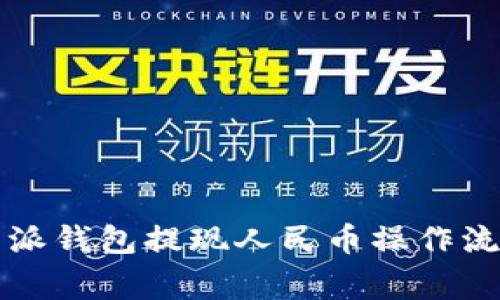 详细解析比特派钱包提现人民币操作流程及注意事项